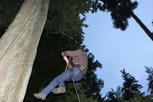 53_gc_stammtisch_80_20150506